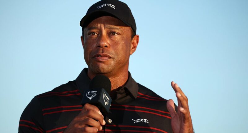 Tiger Woods given golf lifeline following rehab stint in Switzerland