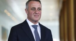 Top Liberal hints he's open to One Nation joining Coalition after byelection triumph