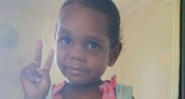 Top cop reveals what mob did to five-year-old's suspected killer