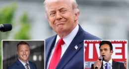 Trump-backed candidates take out GOP incumbents in Indiana, dominate Ohio primary, in big night for presidentÂ