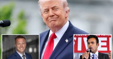 Trump-backed candidates take out GOP incumbents in Indiana, dominate Ohio primary, in big night for presidentÂ