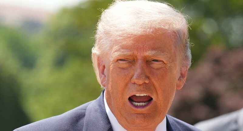 Trump building 'great drone empire' on top of 'bulletproof' ballroom