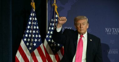 Trump delivers brutal retribution in Indiana as incumbents fall