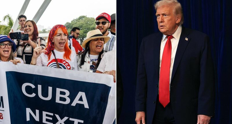 Trump puts his allies on blast in cryptic Cuba post