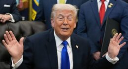 Donald Trump has celebrated a Supreme Court ruling that could see many heavily black states have all-white representation.