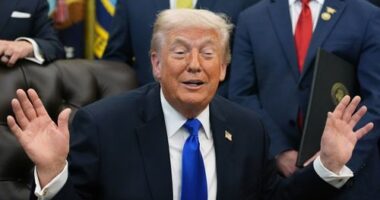 Donald Trump has celebrated a Supreme Court ruling that could see many heavily black states have all-white representation.