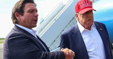 Trump weighs cabinet appointment for Florida Gov. Ron DeSantis