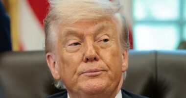 Trump's inner circle in panic over Iran war midterm bloodbath as $4.58 gas and soaring airfares hammer Americans