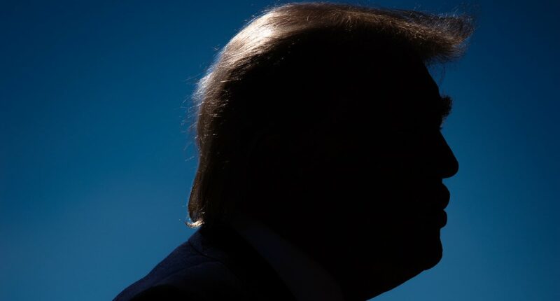 Trump's meddling in elections could backfire voters reveal