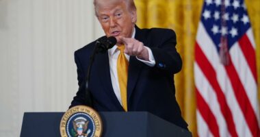 Trump's 'revenge' tour steaming through the South after Indy win