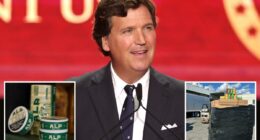 Tucker Carlson nicotine pouches part of $4M in cargo recovered as theft ring exposed