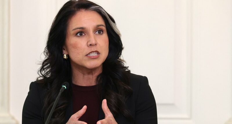Tulsi Gabbard QUITS Trump cabinet as husband battles 'rare' cancer