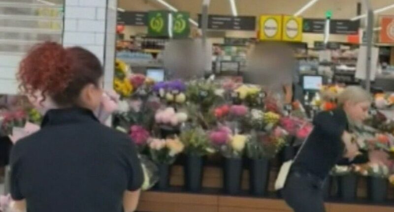 Two girls charged after Woolies store put into lockdown