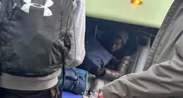 Two stowaway migrants found in the luggage hold of a coach after a school trip to France were treated with 'compassion' by staff and parents despite claims they left bags 'covered in urine'