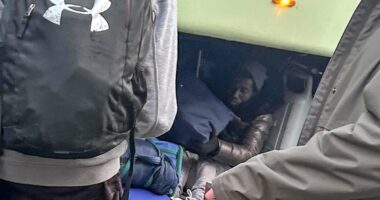 Two stowaway migrants found in the luggage hold of a coach after a school trip to France were treated with 'compassion' by staff and parents despite claims they left bags 'covered in urine'