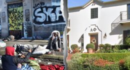UCLA sororities hire private security amid terrifying harassment by homeless men: report