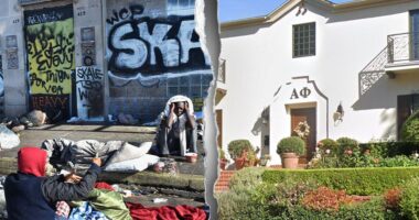 UCLA sororities hire private security amid terrifying harassment by homeless men: report
