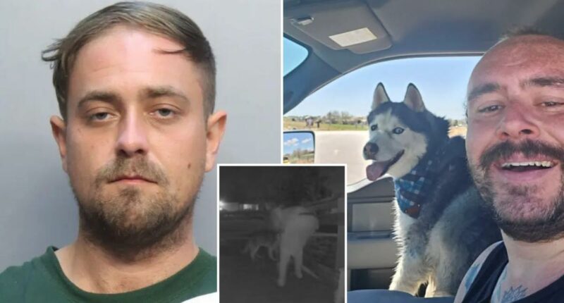US Airman Andrew Beckham dog Maverick found dead inside car at Denver apartment dogsitter Andrew Jansen arrested in Florida