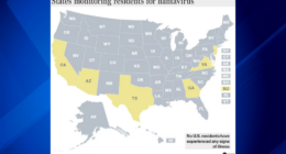 US Hantavirus map: Texas, New Jersey, Georgia, California, Virginia, Arizona monitoring 9 amid Hantavirus cruise ship outbreak
