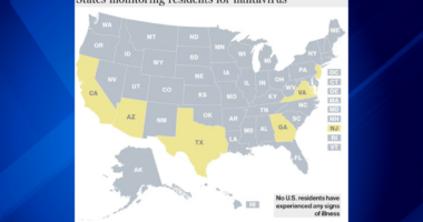 US Hantavirus map: Texas, New Jersey, Georgia, California, Virginia, Arizona monitoring 9 amid Hantavirus cruise ship outbreak