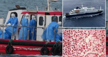 US moving to evacuate American passengers aboard hantavirus cruise ship, quarantine in Nebraska
