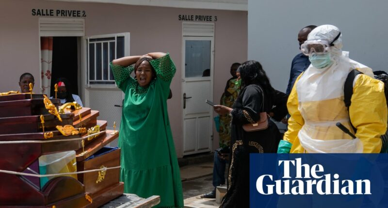 US temporarily bans green-card holders from entering country from African nations