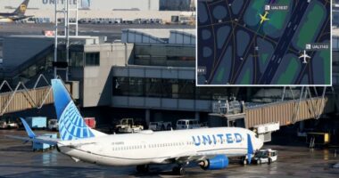 United flight at Newark declares emergency after man attacks attendant, tries to storm cockpit