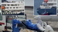 Unnerving gurney photo shows suspected hantavirus patient evacuated from doomed cruise ship in Netherlands