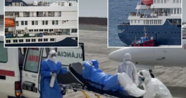 Unnerving gurney photo shows suspected hantavirus patient evacuated from doomed cruise ship in Netherlands