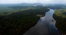 Venezuela tells UN court that mineral-rich part of Guyana was 'fraudulently' taken in colonial era