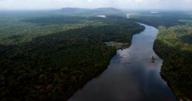 Venezuela tells UN court that mineral-rich part of Guyana was 'fraudulently' taken in colonial era