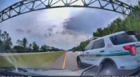 Video shows Orange County deputy running driver off road near Walt Disney World