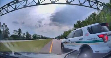 Video shows Orange County deputy running driver off road near Walt Disney World
