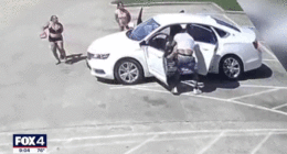 Video shows father fatally shooting illegal immigrant attempting to carjack family of 8: police