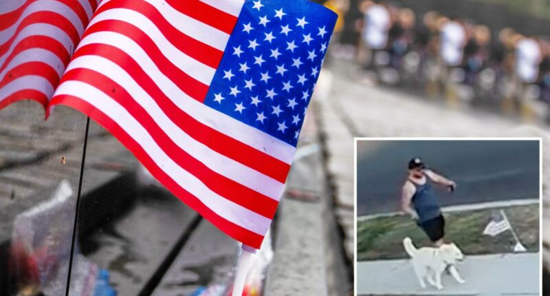 Video shows man kicking American flag in Buena Park on Memorial Day