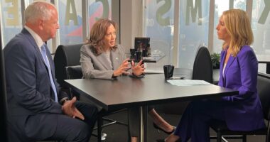 Viewers say Harris looked WEAK for appearing alongside running mate in CNN interview