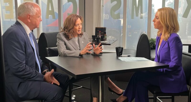 Viewers say Harris looked WEAK for appearing alongside running mate in CNN interview