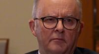 Viewers slam Albo's rambling 'AI' answer to influencer's CGT question