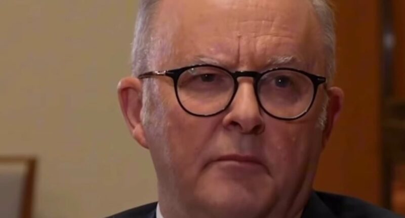 Viewers slam Albo's rambling 'AI' answer to influencer's CGT question