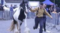 Villagers batten down the hatches as travellers arrive for horse fair