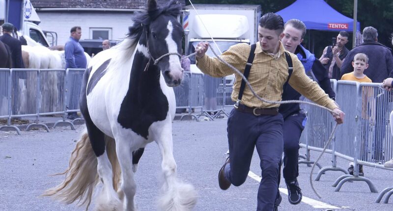 Villagers batten down the hatches as travellers arrive for horse fair