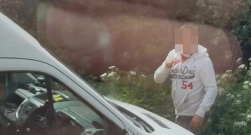 Villagers foil traveller 'land grab' in Essex hamlet