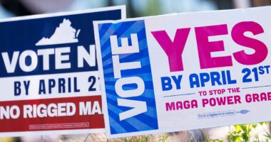 Virginia Supreme Court strikes down controversial Dem-backed map