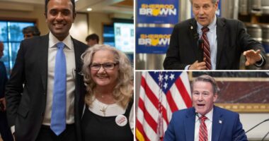 Vivek Ramaswamy wins GOP primary for Ohio governor, Brown notches Dem nod to face Husted for Senate seat