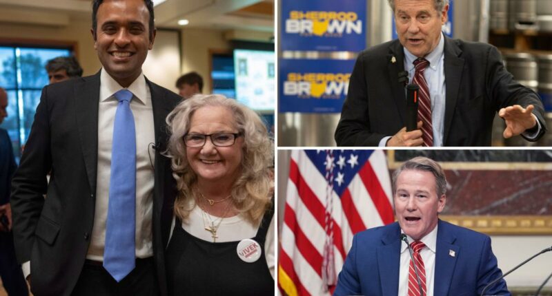 Vivek Ramaswamy wins GOP primary for Ohio governor, Brown notches Dem nod to face Husted for Senate seat