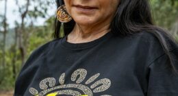 Some of the most prominent Labor MPs backing a Yes vote have found themselves opposing the majority of their constituents in the Indigenous Voice to Parliament referendum, including Indigenous Australians Minister Linda Burney (pictured)