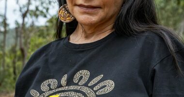 Some of the most prominent Labor MPs backing a Yes vote have found themselves opposing the majority of their constituents in the Indigenous Voice to Parliament referendum, including Indigenous Australians Minister Linda Burney (pictured)