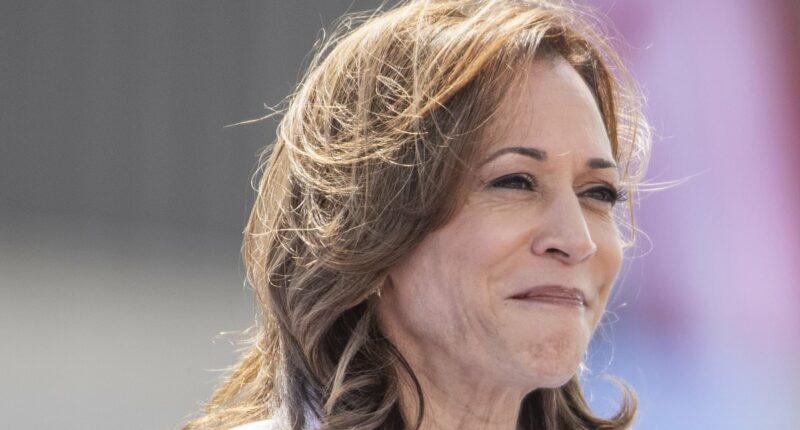 Voters reveal what they really think of Kamala Harris and their top reservation about voting for her