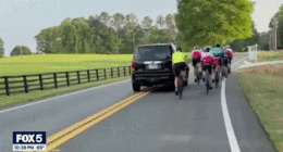 GIF of SUV hitting cyclist