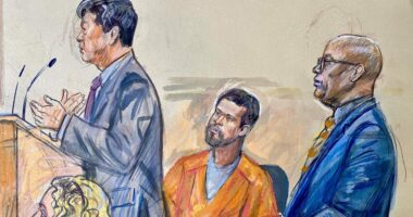 WHCA Dinner shooting suspect Cole Allen pleads not guilty, judge scoffs at defense’s power play